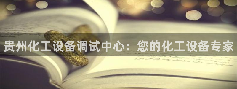 新宝gg创造奇迹平台登录入口：贵州化工设备调试中心